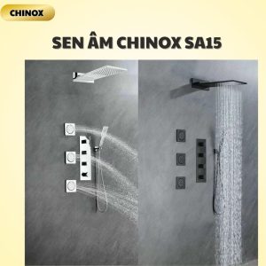 Sen âm tường CHINOX SA15