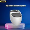 Bệt quả trứng CHINOX BQT02TĐ