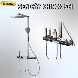 Sen tắm cây phím đàn khổ lớn CHINOX SC11
