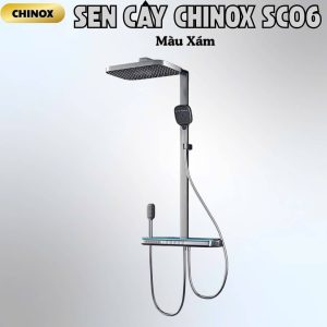 Sen cây phím đàn có led massage CHINOX SC06